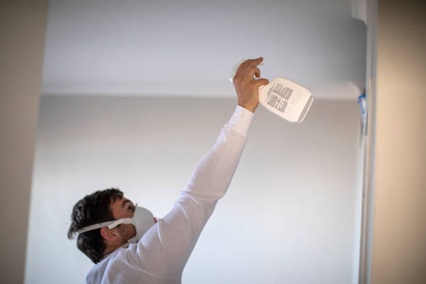 Best Bathroom Mold Remediation in Lake Cassidy, WA